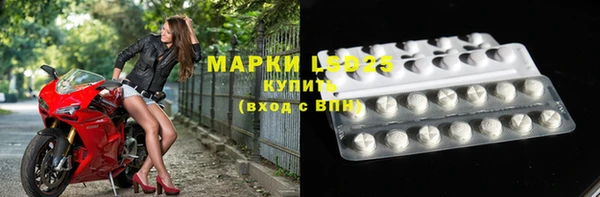 сатива Зеленокумск