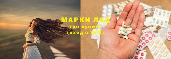 сатива Зеленокумск