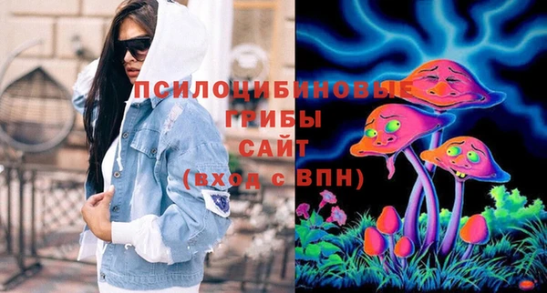 сатива Зеленокумск