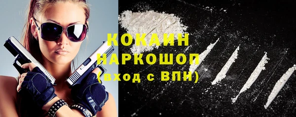 сатива Зеленокумск
