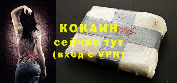сатива Зеленокумск