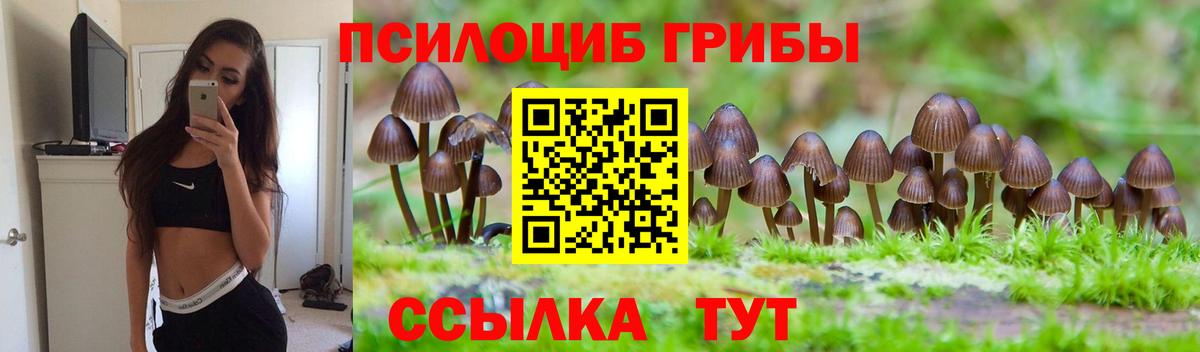 Кимовск  Псилоцибиновые грибы Psilocybe  Вход с VPN 